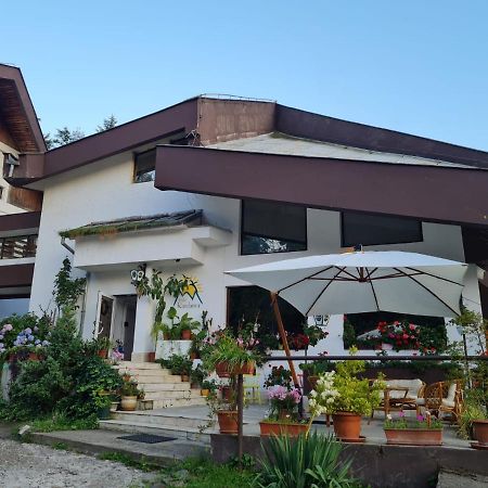فندق Randunica Văliug المظهر الخارجي الصورة